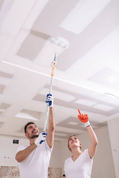 Best Mold Damage Restoration  in Turnersville, NJ