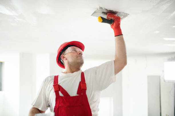 Best Forensic Mold Investigation  in Turnersville, NJ